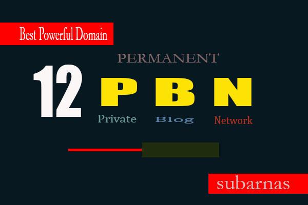 Manually 12 Permanent High Quality Da PBN Links