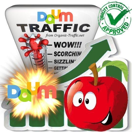 Organic Search Traffic from Daum. net