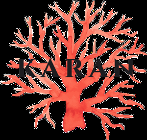 i provide logo design in low price.