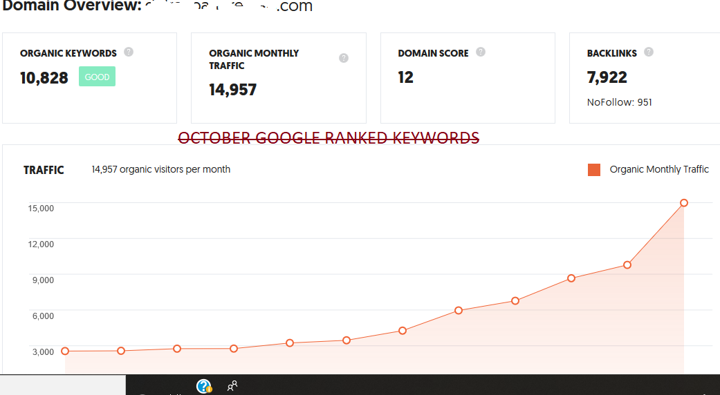 Google Ranking 20 - 30 Keywords Get Organic Traffic R...