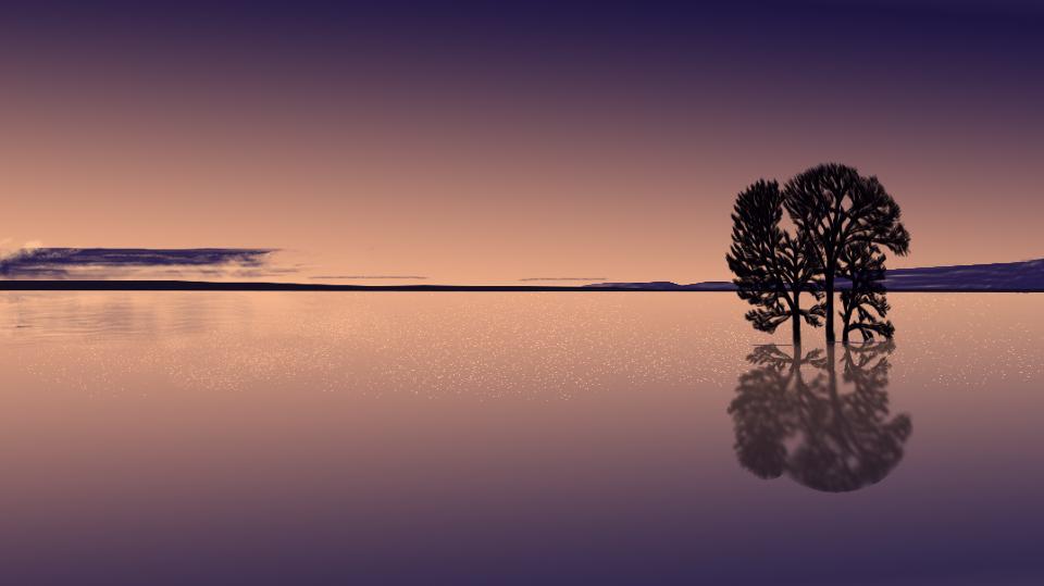 Professional Graphic Designer Here Any Type of Design...