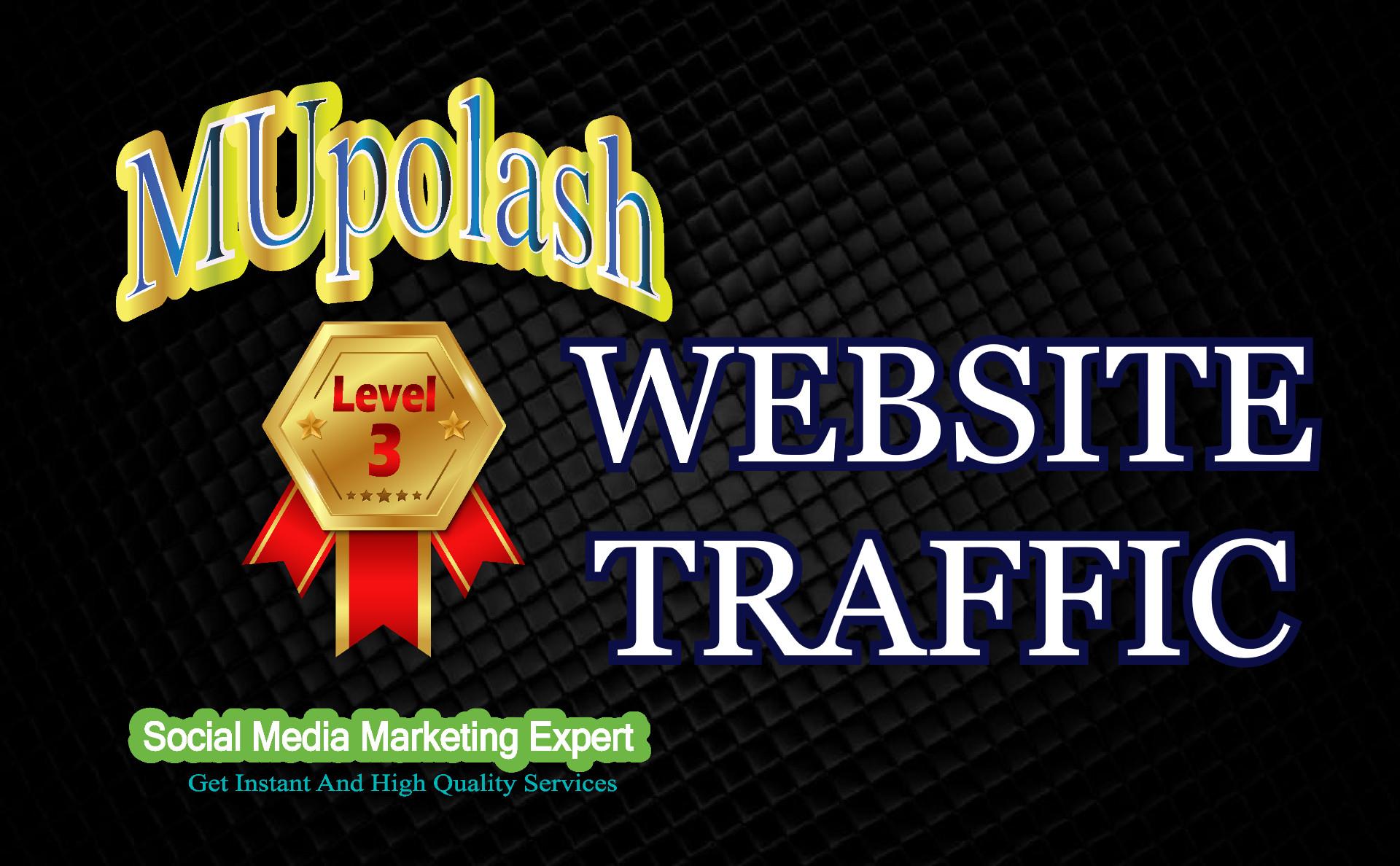 13000+ Real Human websites Traffic/visitors instantly