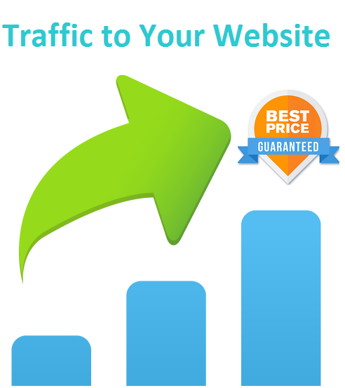 Send 1000+ Daily Traffic from worldwide for 10 days