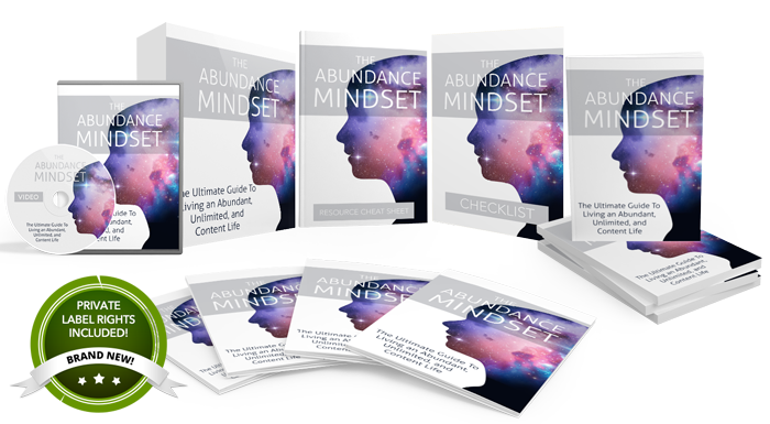The Abundance Mindset Highest Quality PLR Product Pack