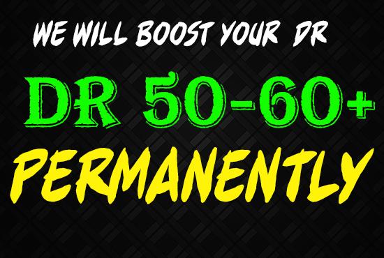 We Will Increase Domain Rating Dr 40 to 60 Plus In 30 Days