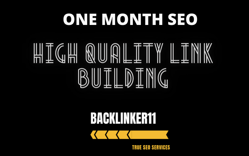 provide a One Complete Month SEO service with high quality link building
