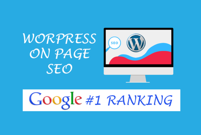 I will do on page SEO for google for your Wordpress