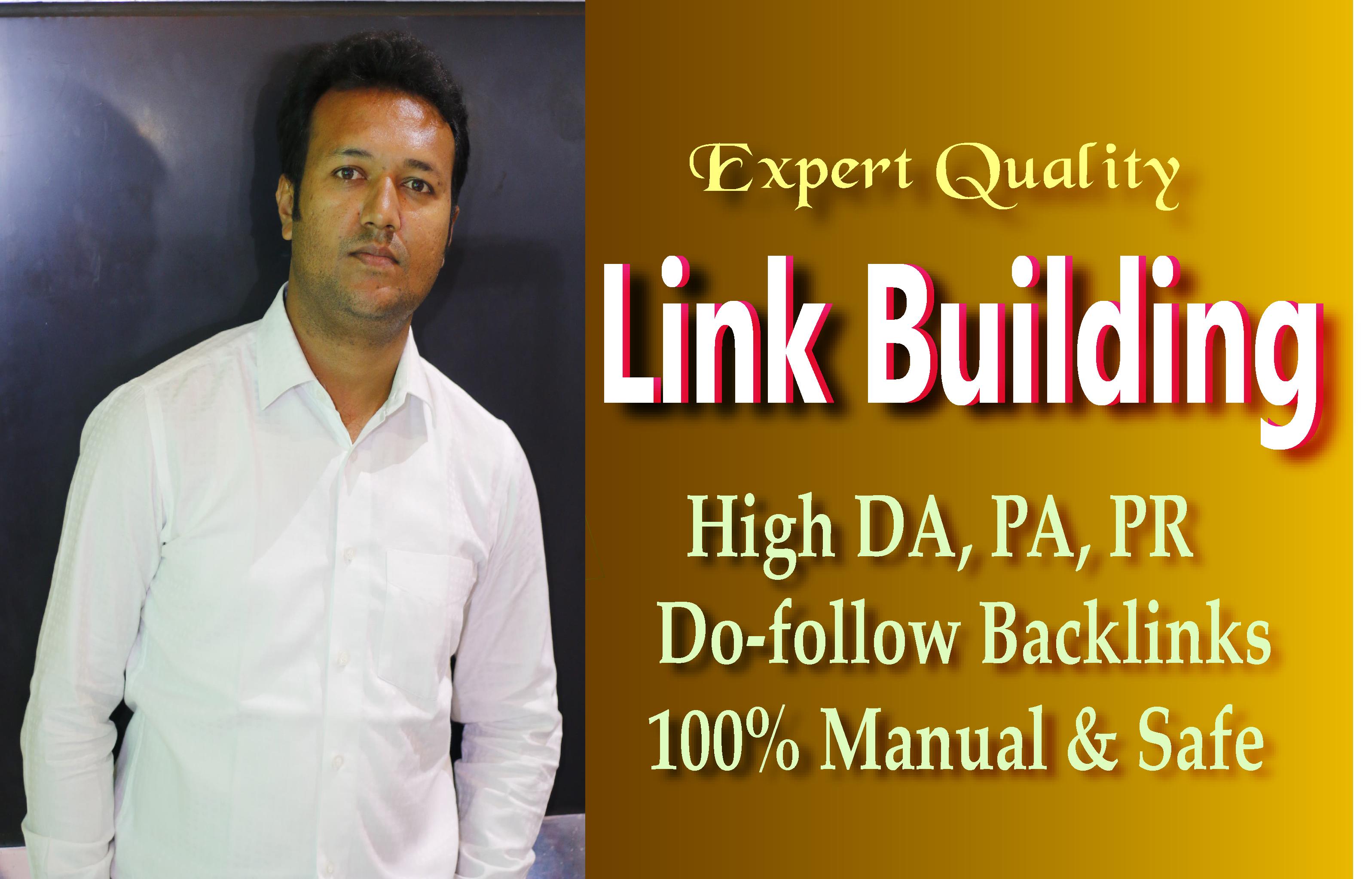 I will do 80 link building, backlinks in high PR sites