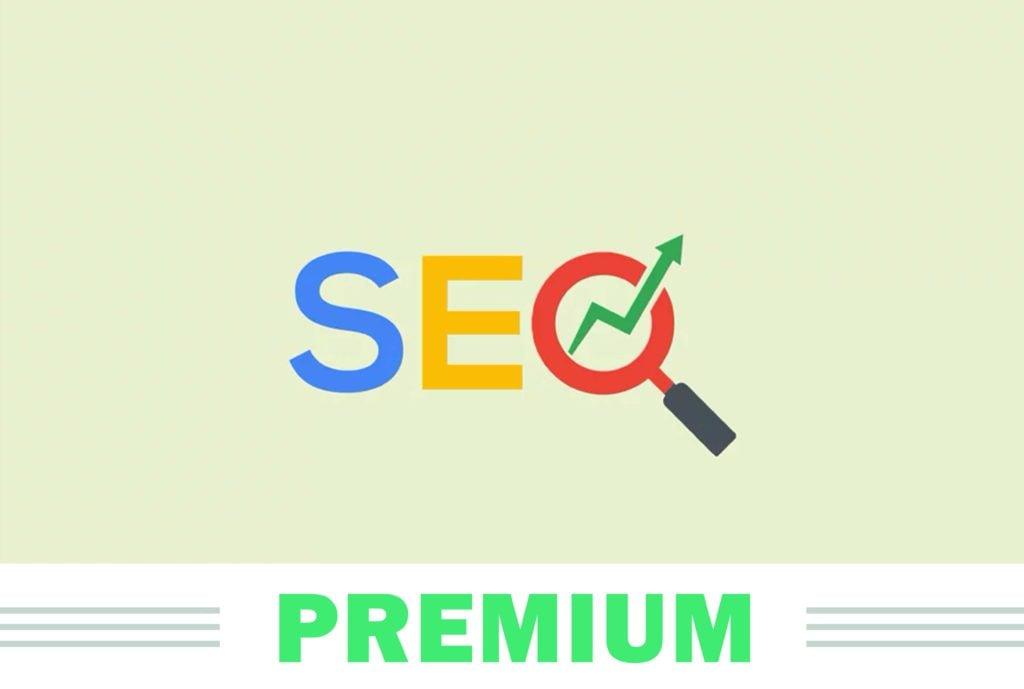 PREMIUM SEO Package, help you rank 1st in Google