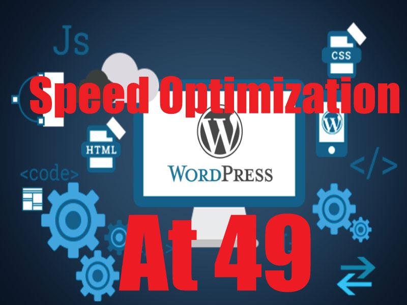 WordPress or Shopify Website Speed Optimizations