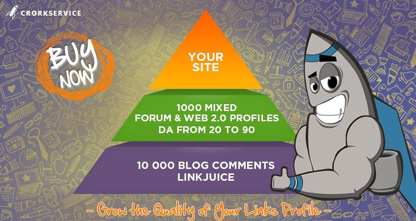 Link Pyramid with 1000 Mixed Profiles and 10 000 Blog Comments