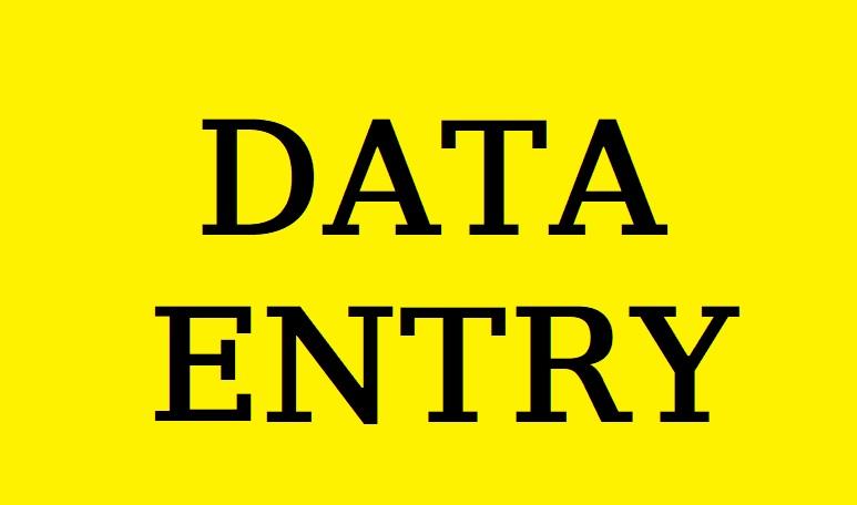 I will do any type of data entry job