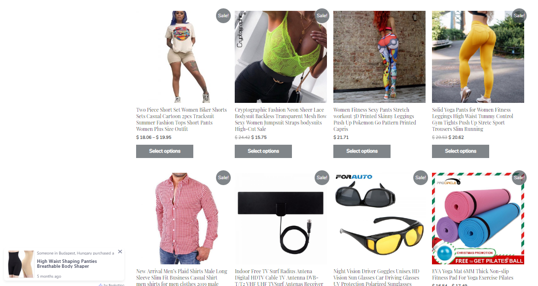  Professionally built Woocommerce webstore 