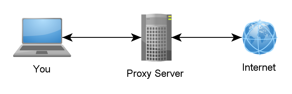 100x Private Dedicated HTTP/HTTPS Proxy Server for 1 Month