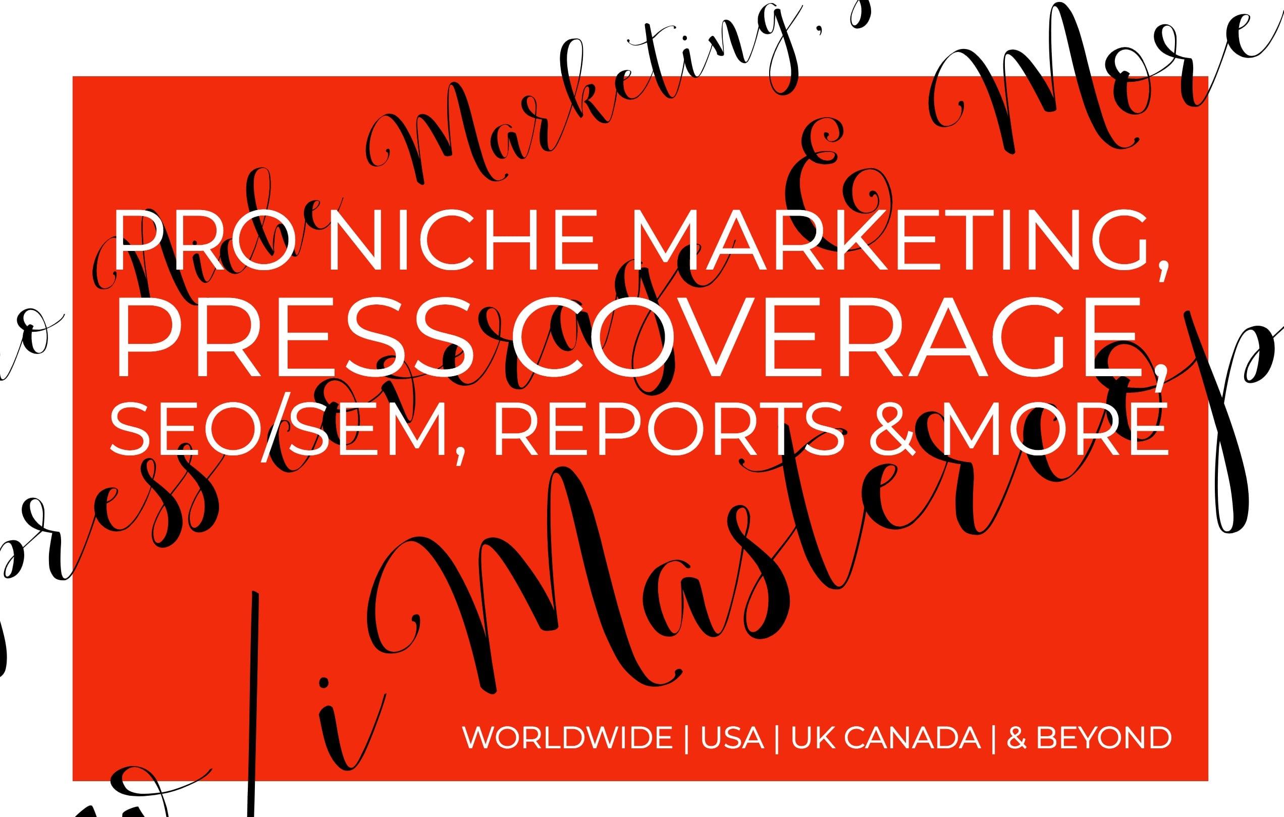 Professional Niche Search Engine Optimization(SEO)