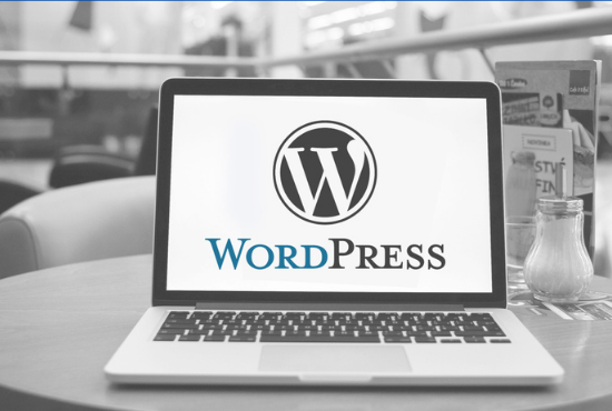 I will design and customize your wordpress website