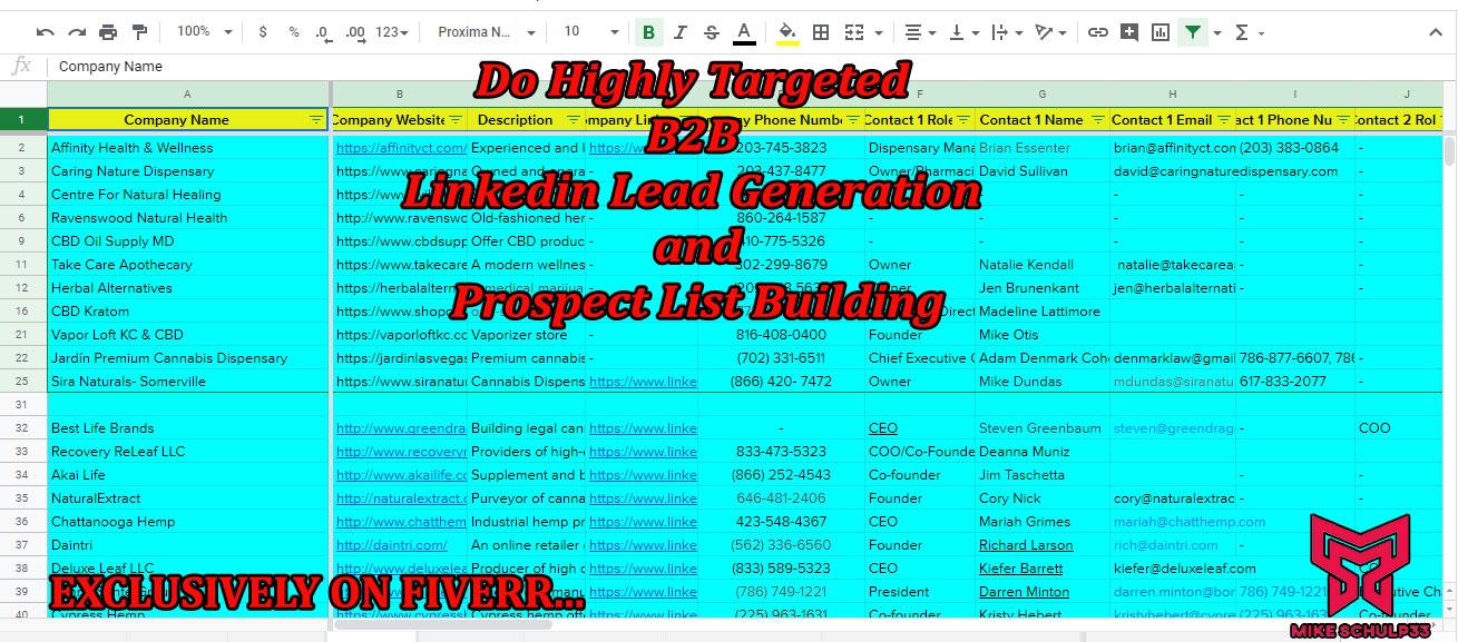 I will do linkedin lead generation and build email lists