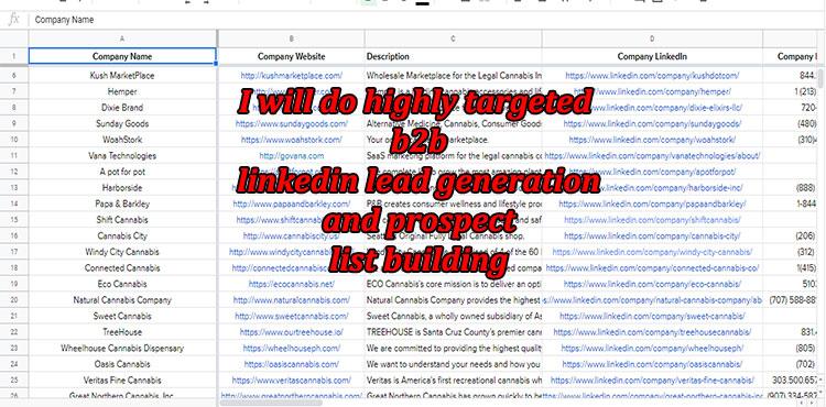 I will do linkedin lead generation and build email lists