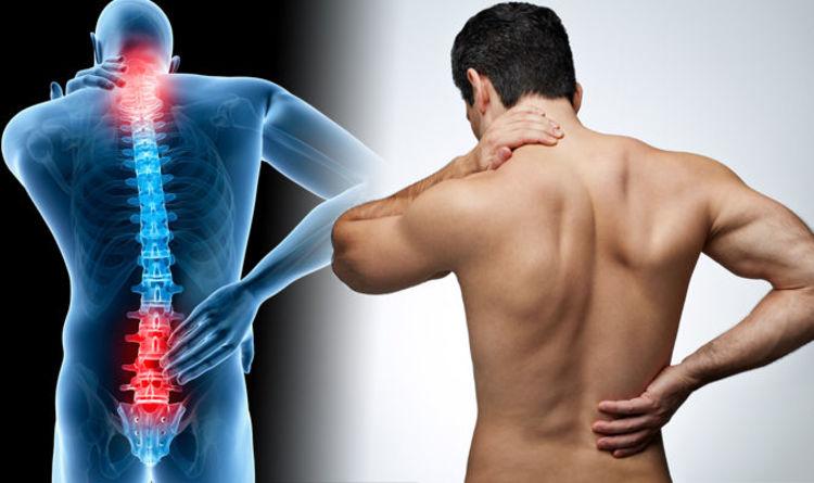 give you 49 Back Pain Articles