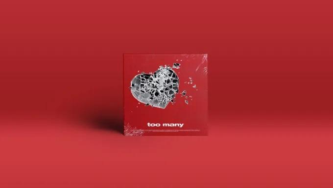 We will design your custom album cover art or music artwork