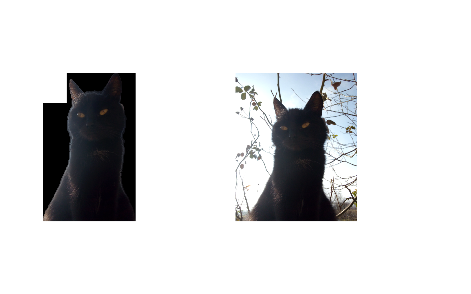 I will remove background from 10 images professionally