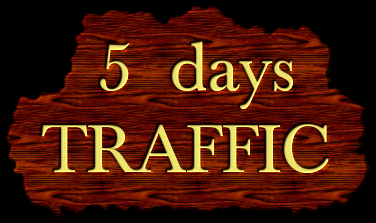 5 Days Live ORGANIC Unlimited Traffic with EXTRAS