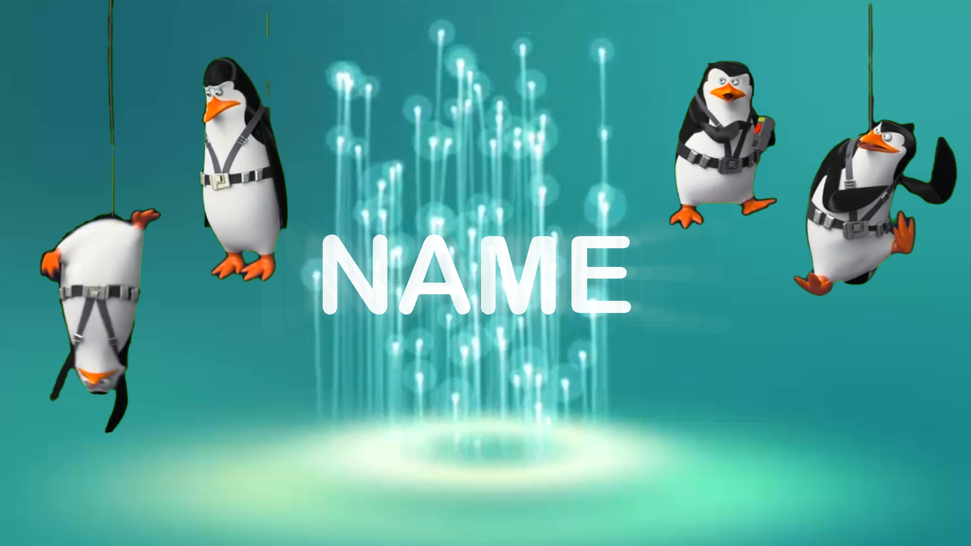 3 Amazing HQ Video with Penguin to choose from ,with extras