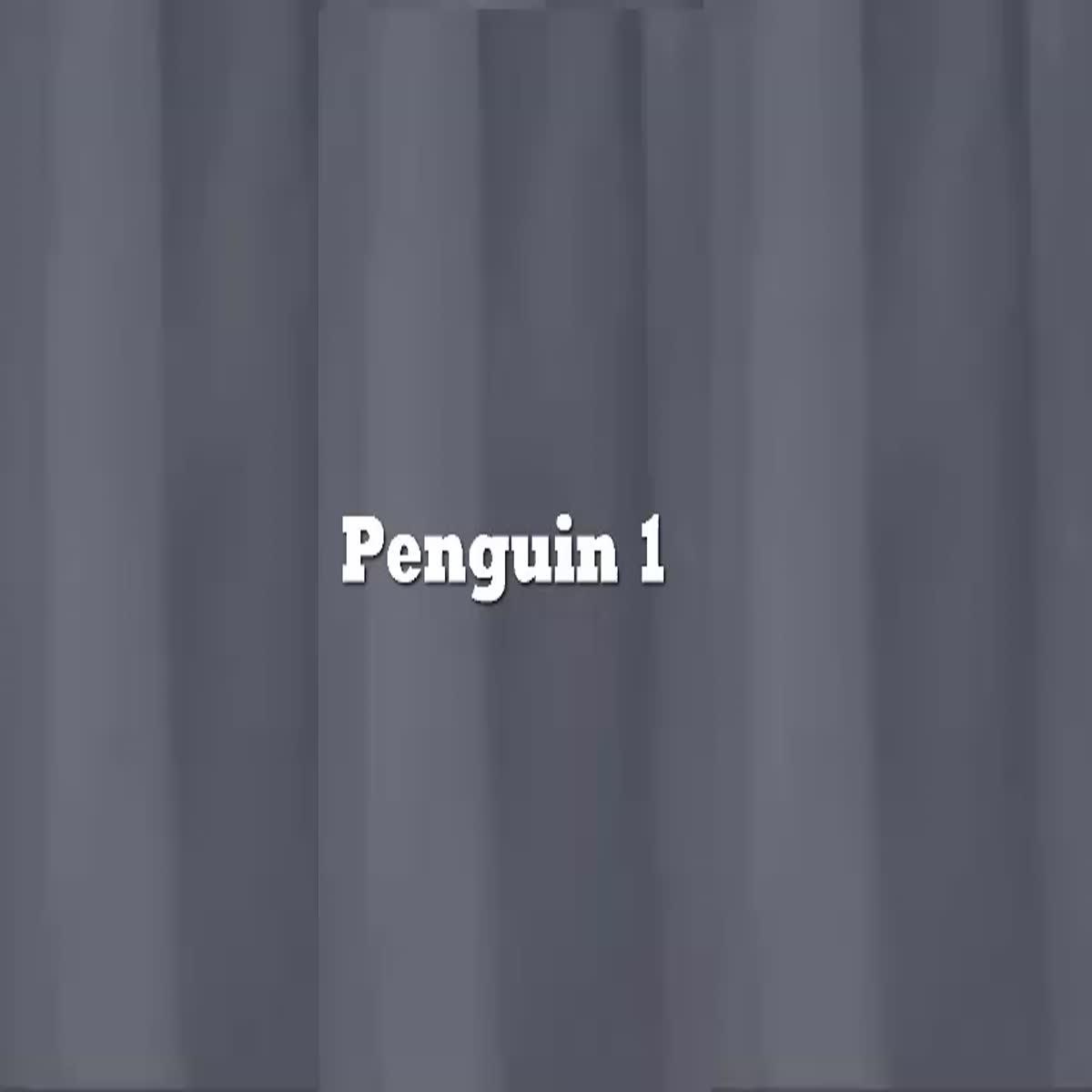 3 Amazing HQ Video with Penguin to choose from ,with extras