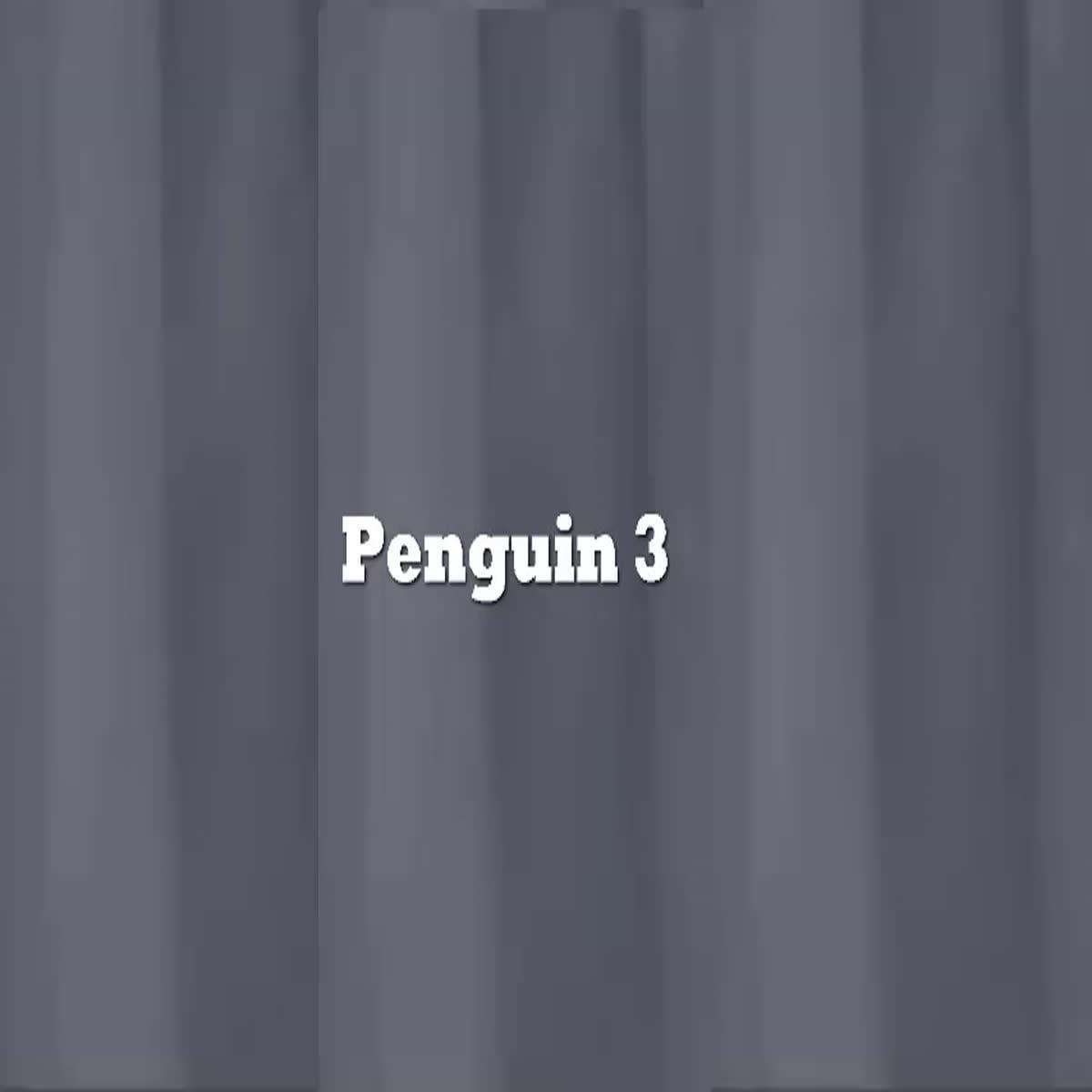 3 Amazing HQ Video with Penguin to choose from ,with extras