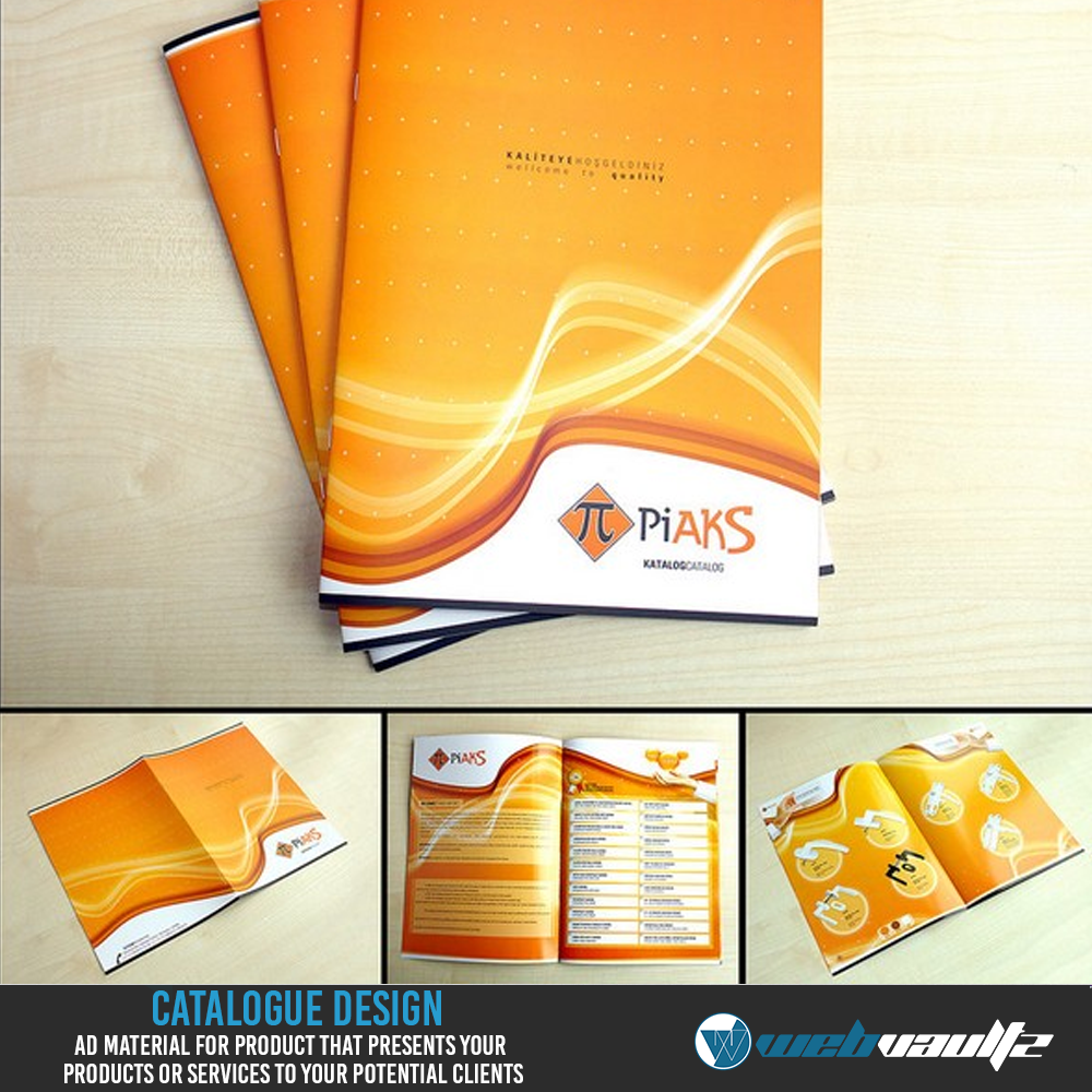 Professional Brochures Branding Catalog Flyers for Your Business Needs