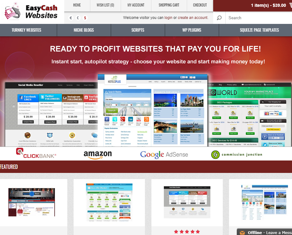 Turnkey Easy Cash Niche website for sale Affiliate Income