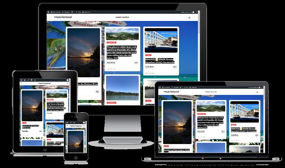 I Will Sell A Fully Automated Website That Is Adsense Ready