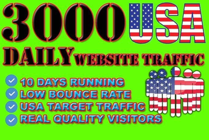 drive USA,Website,traffic niche,targeted visitors 