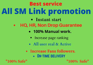 All Social Media Promotion services 