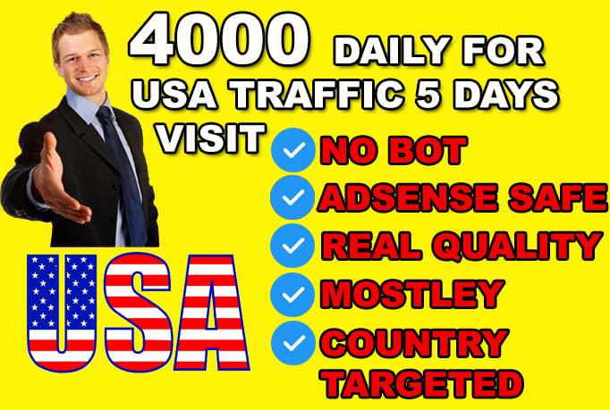 Drive organic usa real target website traffic visitors