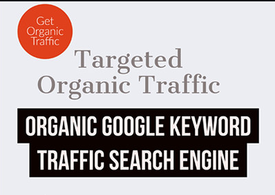 60 Days Organic USA UK Canada Europe Targeted Real Website Visitors Traffic