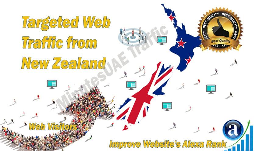 New Zealander web visitors real targeted Organic web traffic from New Zealand