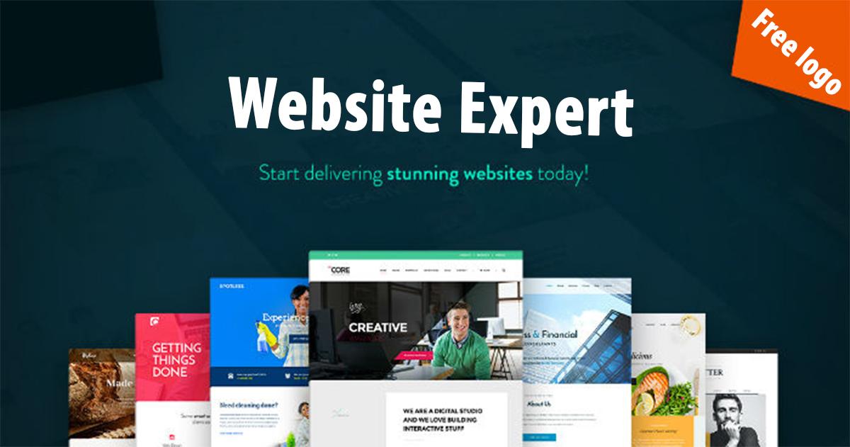 Design Develop Professional Wordpress Sites