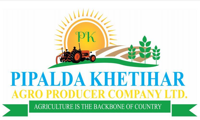 Provide Design Professional Business Logo (1 Logo Concepts)