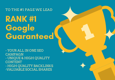 Get Ranked #1 Page On Google 30 Days ALL IN ONE SEO Package
