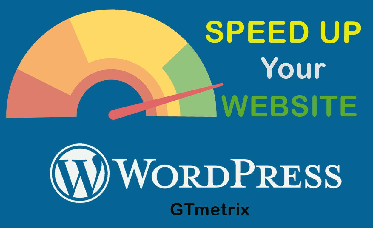 I will speedup wordpress website and improve gtmetrix scores