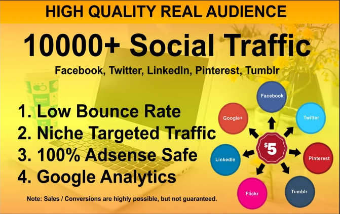 I will drive targeted web traffic from social media