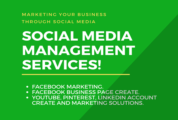 Manage all social media pages - Facebook Twitter LinkedIn YouTube Pinterest