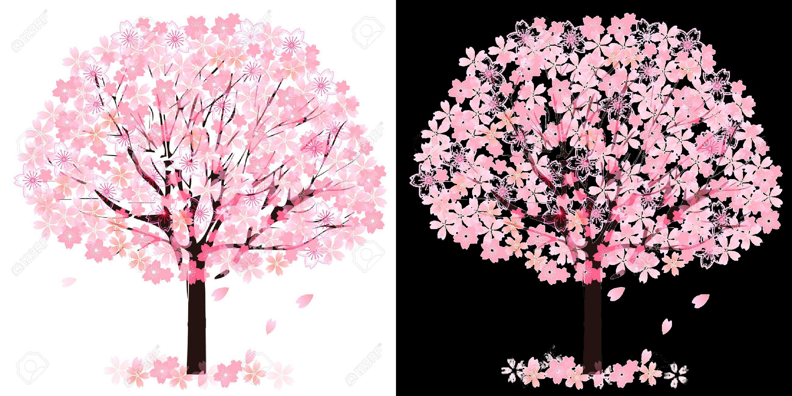 I will remove 4 images background