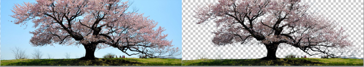 I will remove 4 images background