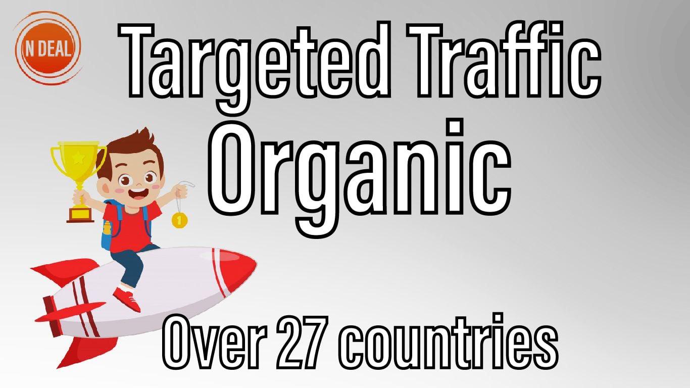 3000 Visitors Targeted Real and Organic Traffic 