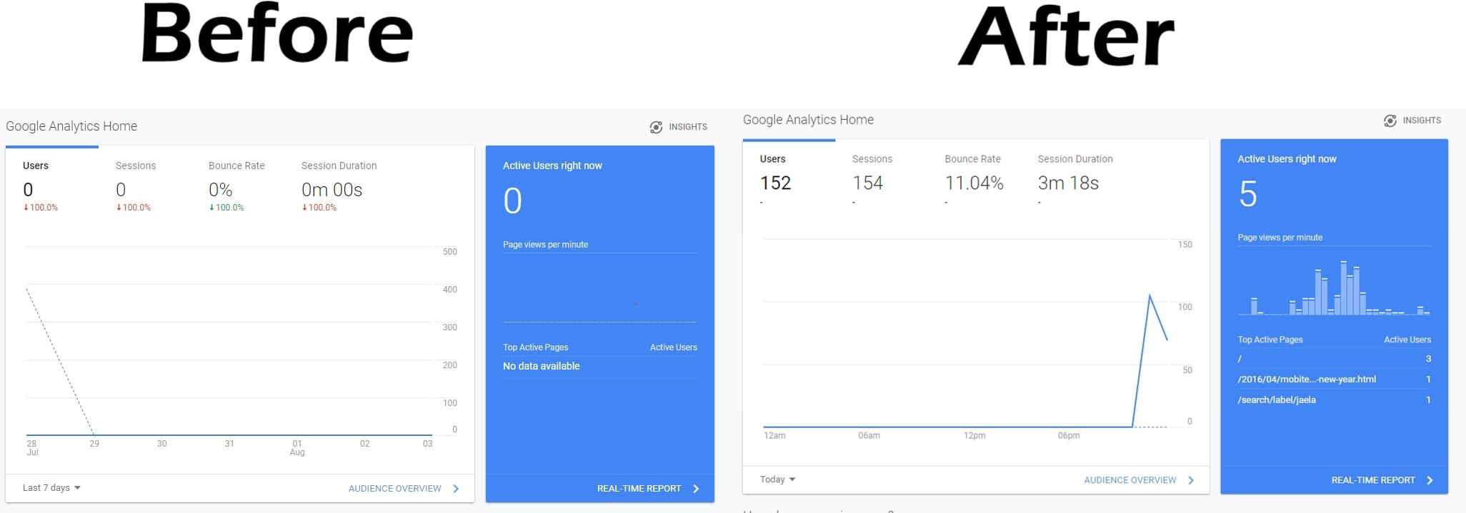 Drive 1000 daily Europe traffic for 30 days to your site 