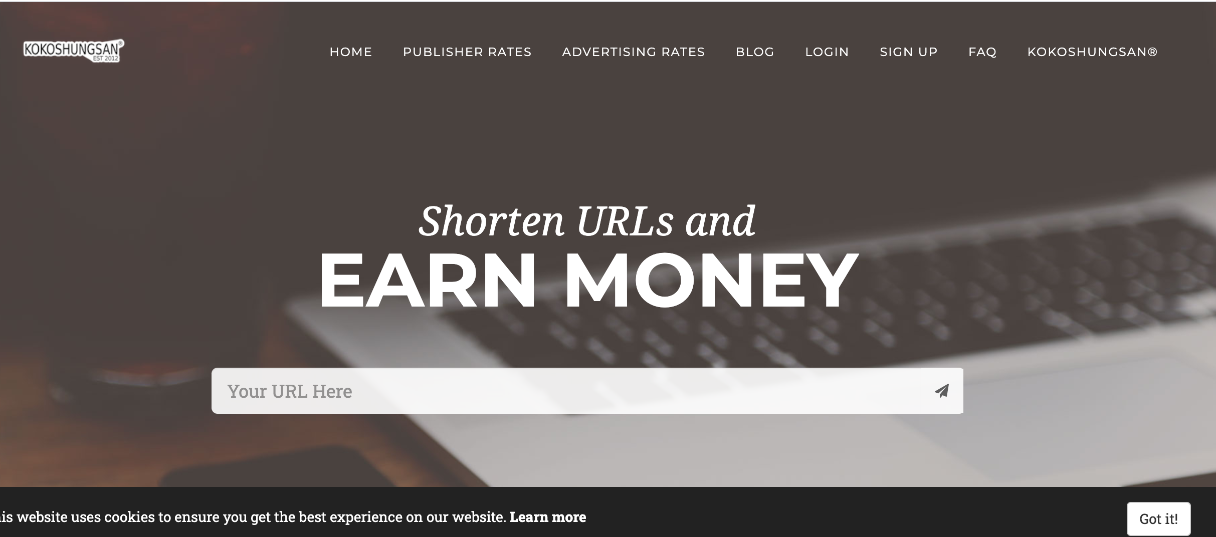 I will promote your website to get 5000 real visitors