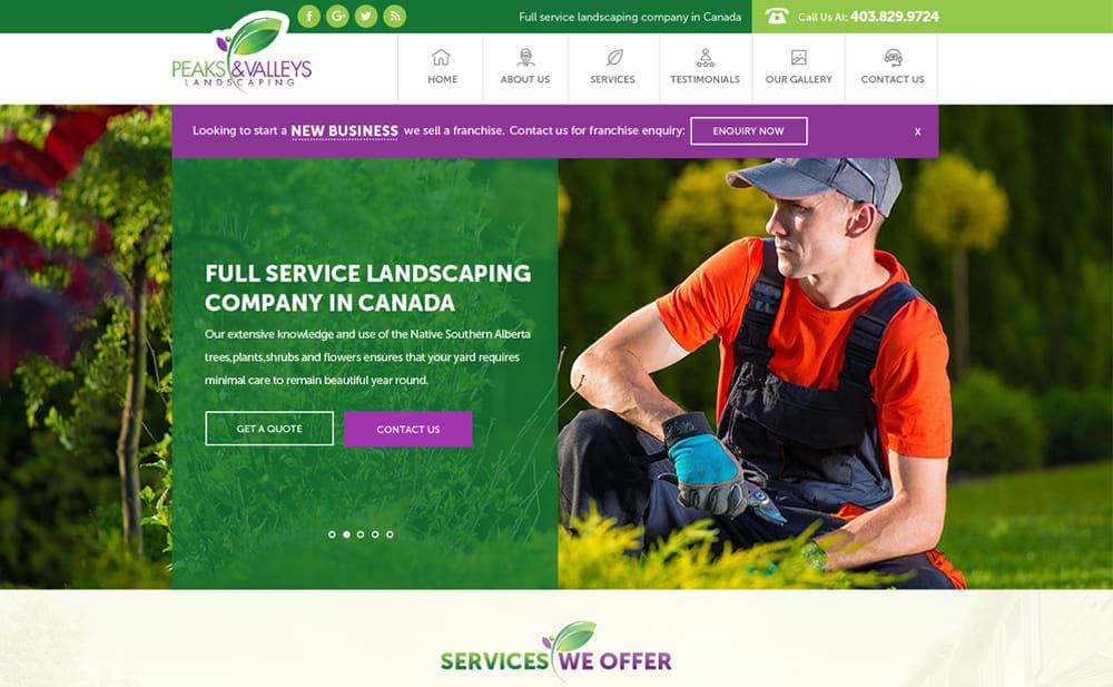 I will design or redesign wordpress website or any professional web design