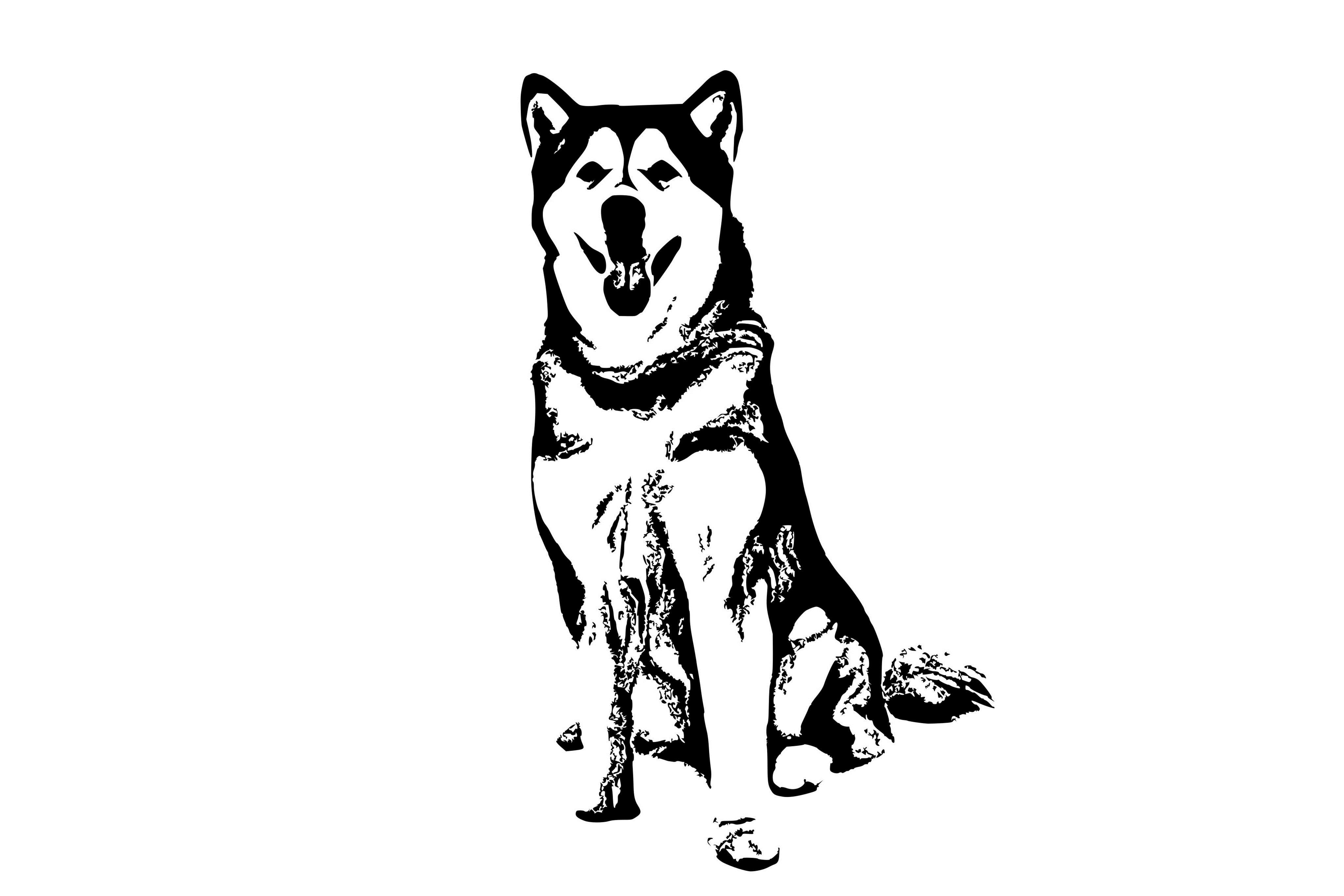 draw 3 your photo to logo blackwhite